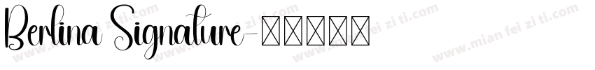 Berlina Signature字体转换